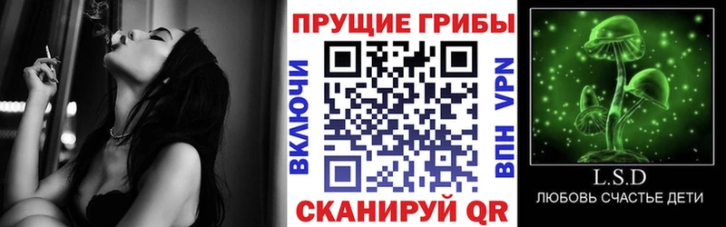 Псилоцибиновые грибы Psilocybe наркотики Родники