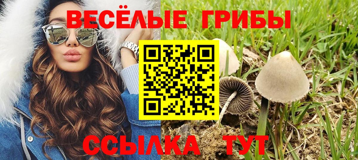 Псилоцибиновые грибы ЛСД Родники